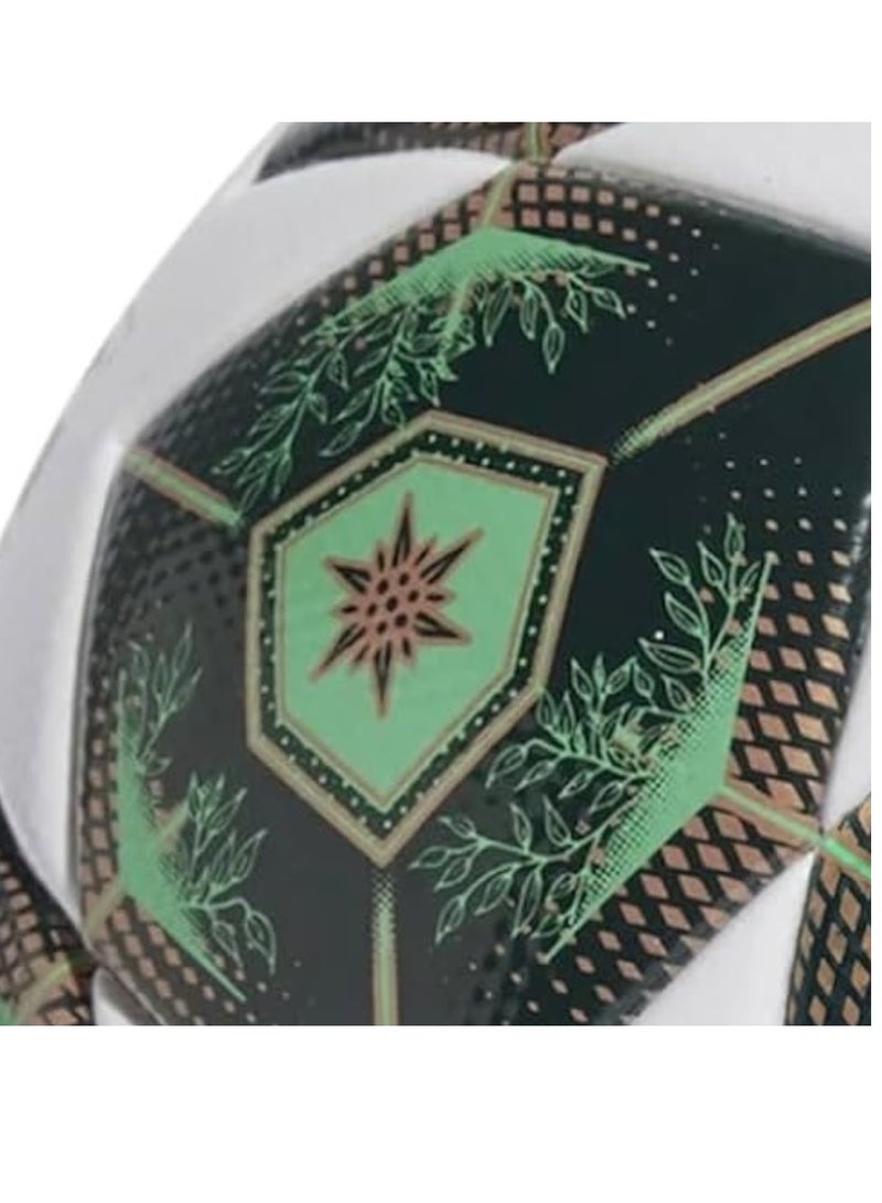Generic Premium Soccer Ball 2025 Pro Football for Adults and Kids, Size 5  - Image 3