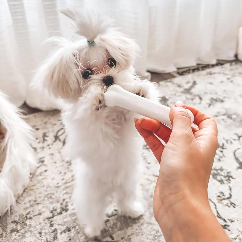 Nylabone New Puppy Starter Kit, Chew Toys & Natural Chew Treat for Puppies, Puppy Enrichment Teething Toys, Blue, Long Lasting Chicken & Bacon Flavor, Small Dogs - Up to 25 Ibs, 3 Pack - Image 2