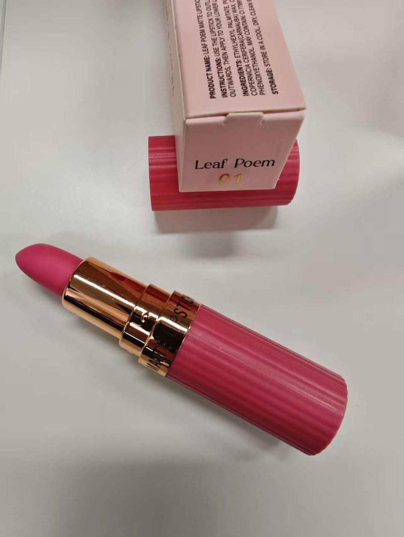 evpct 1Pcs Dark Brown Deep Coffee Lipstick Silky Velvet Matte Lipstick Pack Sets for Women Long Lasting Smudge Proof Lipstick Lip Stain Makeup Kit matte lipstick 24 hours original N06