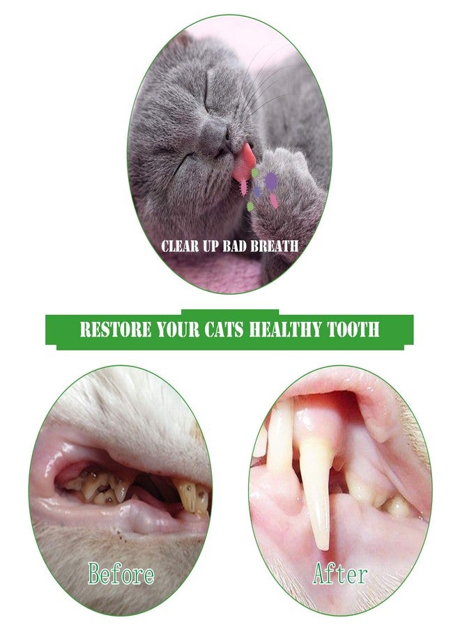 Eeaivnm Cat Toothbrush Catnip Toy,Interactive Rubber Dental Care for Pet Kitten Kitty, Crayfish-Shaped Safe Chewing Toy Tooth Cleaning Resistant Cat Toy(2 Pack) - Image 5