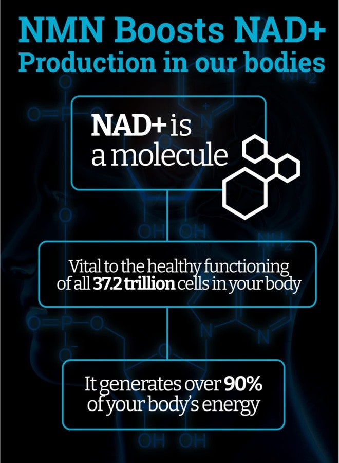 Black Forest NMN Supplements 1000mg (Nicotinamide Mononucleotide) 99% Pure, Stabilized Form, BioPerine® for Enhanced Bioavailability (60 Capsules) (NMN 1000mg per Serving) NAD Supplement for NAD - Image 4