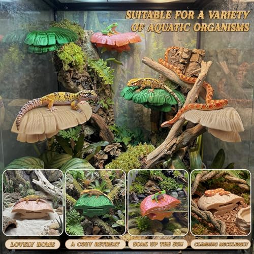 maozyiltle Mushroom Reptile Ledge| Tree Frog Terrarium Tank Accessories, Crested Gecko Tank Accessories, Frog Habitats, Fish Tank Decor| Terrarium Plants Decor from Daughter| 4 Suction Cups - Image 3