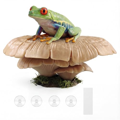 maozyiltle Mushroom Reptile Ledge| Tree Frog Terrarium Tank Accessories, Crested Gecko Tank Accessories, Frog Habitats, Fish Tank Decor| Terrarium Plants Decor from Daughter| 4 Suction Cups - Image 1