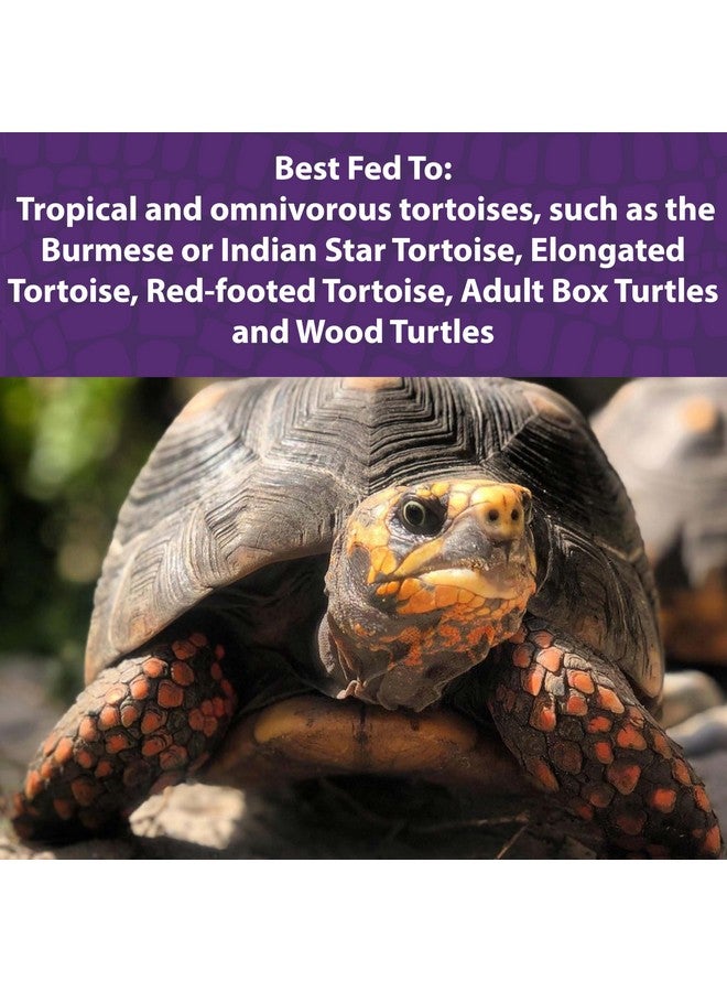 Mazuri Mazuri | Tortoise Diet | 1.25 Pound (1.25 LB) Bag  - Image 3