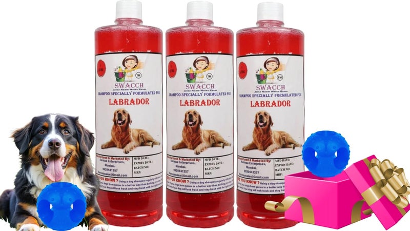 swacch Pet Shampoo | Puppy Safe Shampoo | PH Balanced | Ditch to Itch for Labrador Dog Shampoo 3 Litre (Strawberry) + Goofy Ball Chew Toy Combo Pack - Image 1