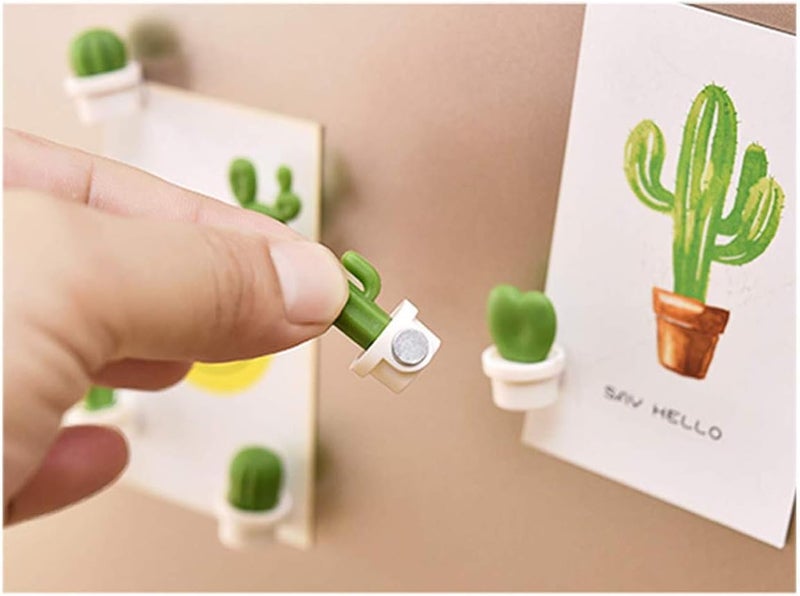 TabEnter Decorative Refrigerator Magnets, Perfect Fridge Magnets for House Office Personal Use (24Pcs Cactus) - Image 4