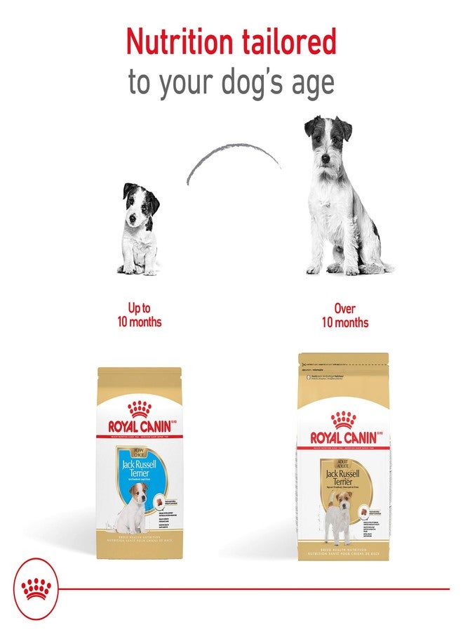 رويال كانين طعام الكلاب الجاف من رويال كانين، مخصص لسلالات كلاب جاك راسل تيرير، عبوة 3 أرطال - Image 4