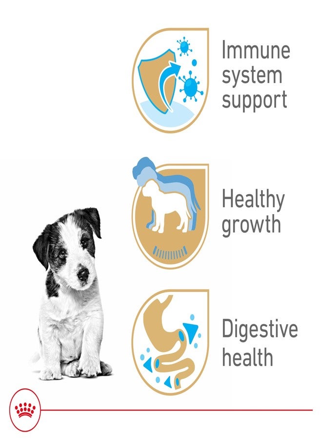 رويال كانين طعام الكلاب الجاف من رويال كانين، مخصص لسلالات كلاب جاك راسل تيرير، عبوة 3 أرطال - Image 2