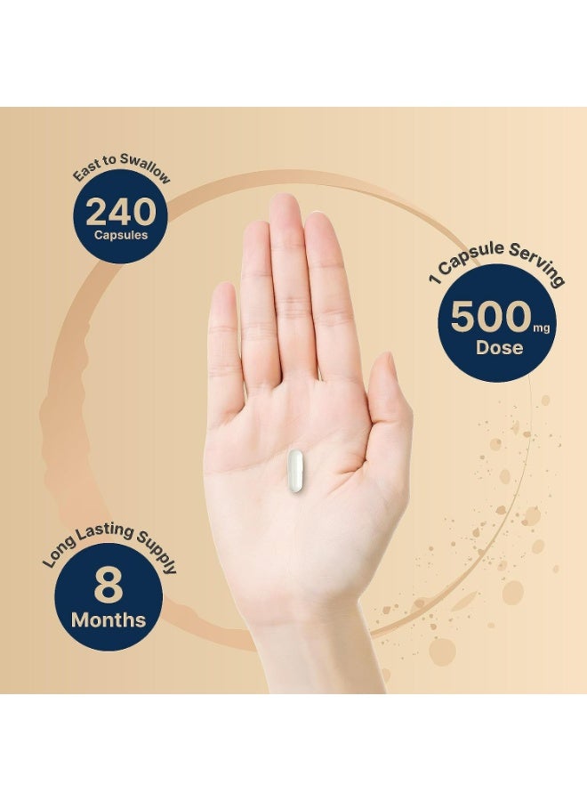 Wins Town Magnesium Glycinate 500mg | Superior Absorption | 240 Capsules | Daily Wellness Support - Image 3