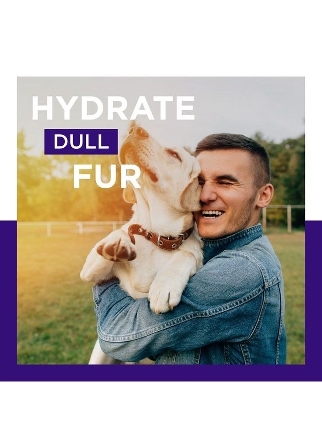 Honeydew - Lavender Oil Dog Deodorizing Spray - Dog Spray for Smelly Dogs and Puppies and Dog Calming Spray with Lavender Essential Oil - Lightly Scented Dog Deodorizer for Smelly Dogs and Dog Essentials - Image 1
