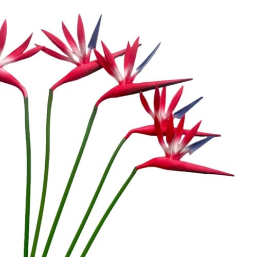 Corkwaw 8 Pack 21-1/2 Inch Artificial Flowers Bird of Paradise,Green Plant for Home Garden Decoration Office Verandah Wedding Decorations (Red) - Image 3