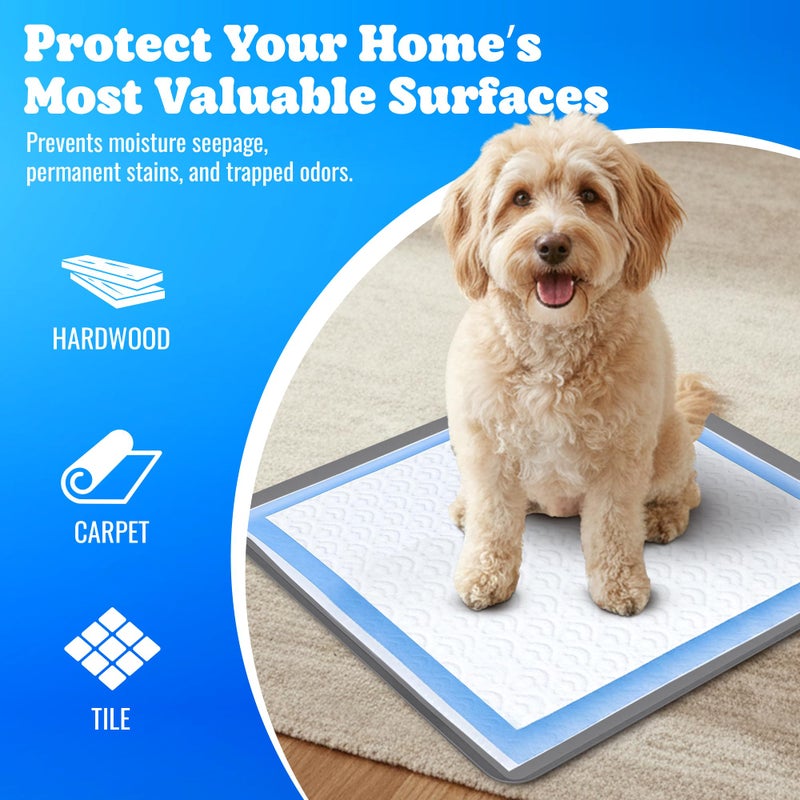 Skywin TidyFriend Dog Pee Pad Holder Tray - Fits Up to 24â€ x 24â€ Pee Pad Holder for Dogs - Stable Grip, Raised Edges, Quick-Wipe Silicone Surface Dog Pad Holder for Indoor Flooring Protection (Dark Grey) - Image 3