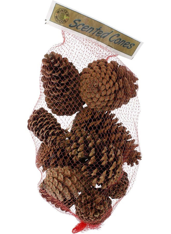 Winter woods أقماع الصنوبر المعطرة بالقرفة من غابات الشتاء 12-14/عبوة، كبيرة - Image 4