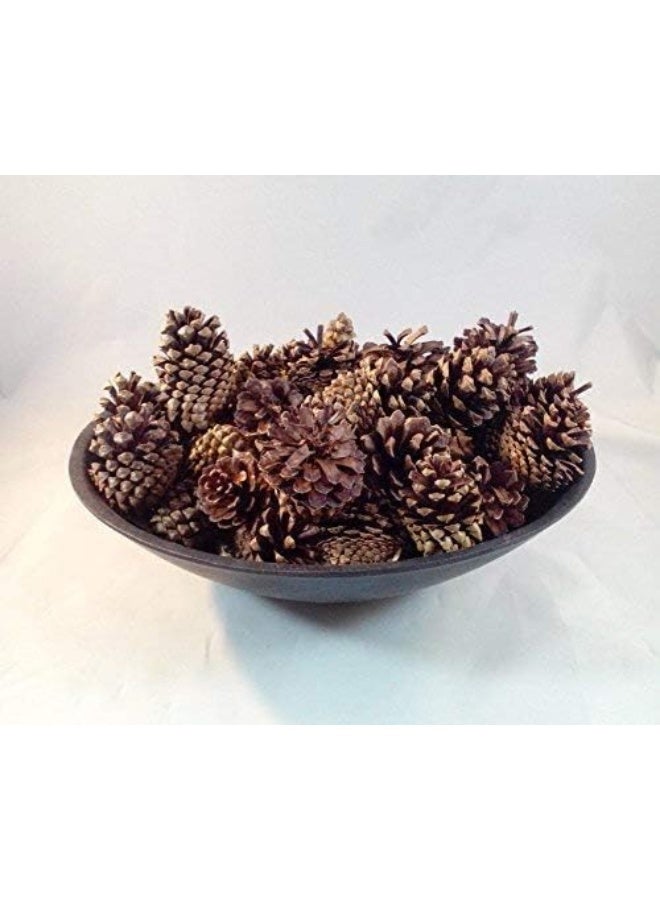 Winter woods أقماع الصنوبر المعطرة بالقرفة من غابات الشتاء 12-14/عبوة، كبيرة - Image 3
