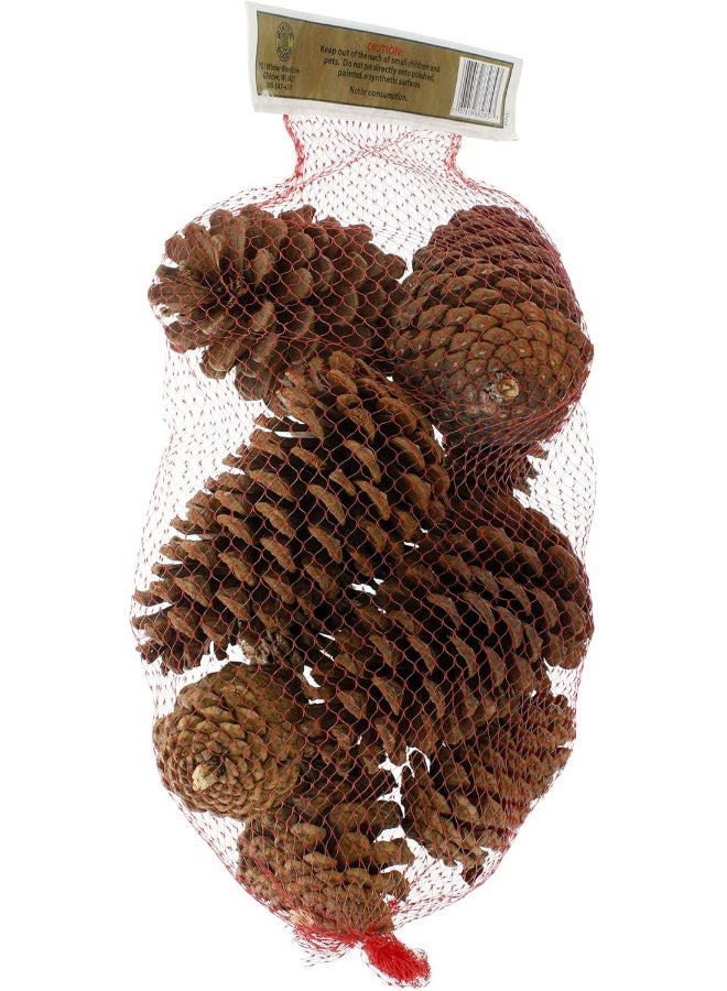 Winter woods أقماع الصنوبر المعطرة بالقرفة من غابات الشتاء 12-14/عبوة، كبيرة - Image 1
