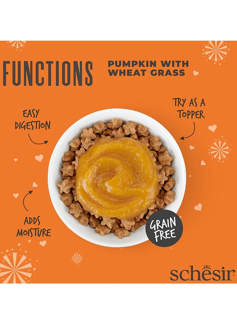 شيسر حزمة من 12 قطعة 40 جرام كيس من اليقطين مع عشب القمح في هريس - Image 2