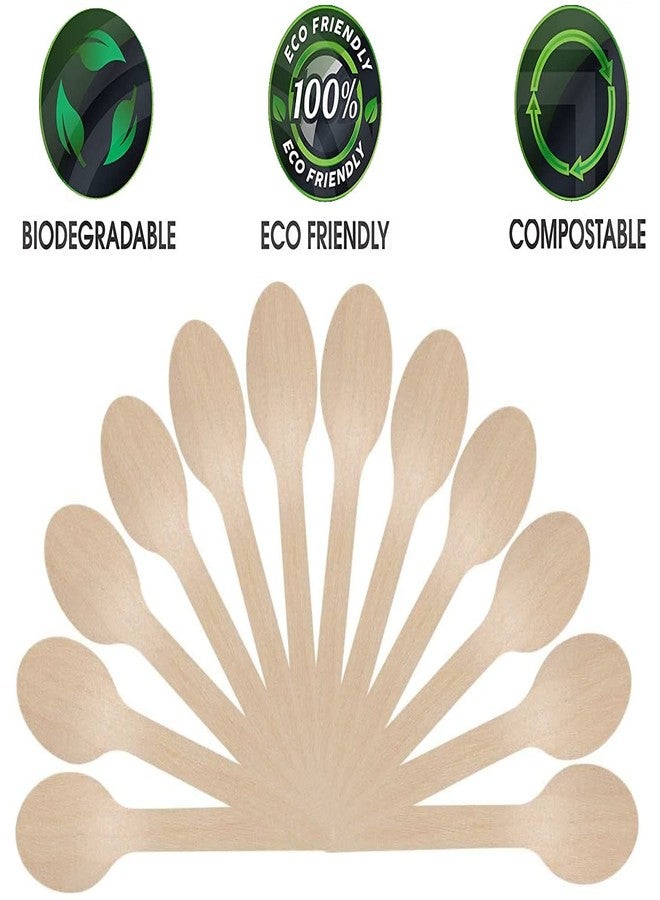 Magic Providers Disposable Wooden Spoon | Eco Friendly, Bio-degradable | Eco Friendly | Compostable | Perfect for Home/Office Use| Party | Events Medium Size - 140mm | 100 Pieces - Image 5