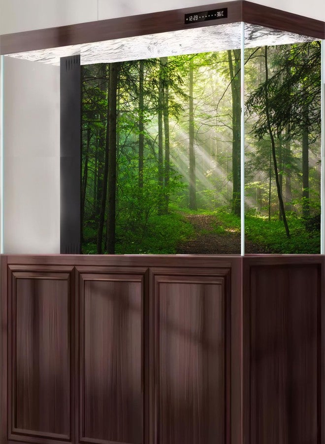 CaterRina Sunrise Forest Aquarium Background Majestic Misty Morning Green Forests Fish Tank Background Scenic Tranquil Foggy Woodland Terrarium Backgrounds Green Meadow Plants Reptile Tank Backgrounds 36x18in - Image 5