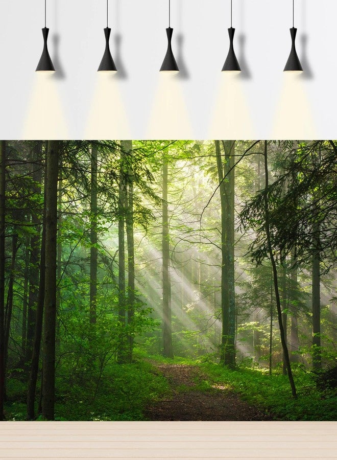 CaterRina Sunrise Forest Aquarium Background Majestic Misty Morning Green Forests Fish Tank Background Scenic Tranquil Foggy Woodland Terrarium Backgrounds Green Meadow Plants Reptile Tank Backgrounds 36x18in - Image 3
