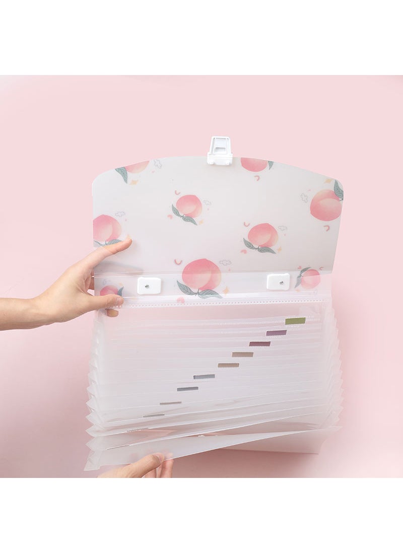 Generic - Expanding Accordion Folders Portable Document Holder A4 File Organizer - Image 1