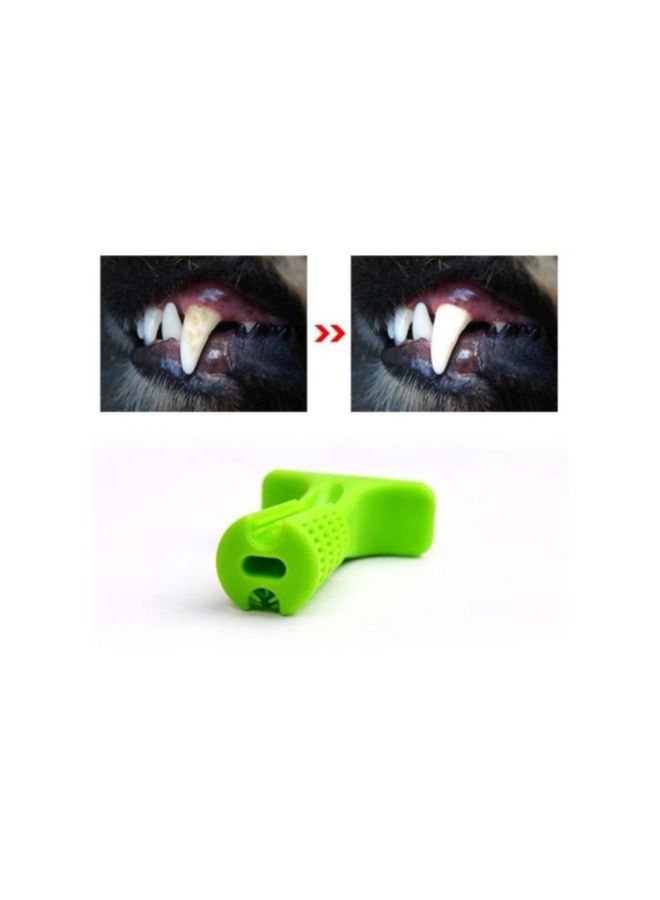 NIBEMINENT Toothbrush Stick Green - Image 4