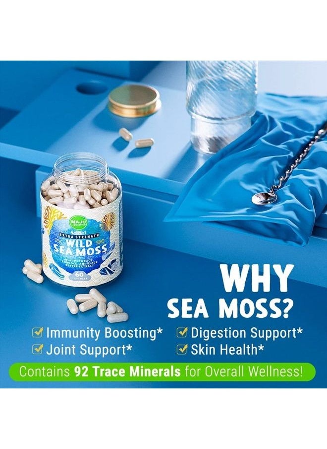 Maju Superfoods - MAJU 4-in-1 Organic Sea Moss Capsules, Wild Chondrus Crispus, Seamoss w/Bladderwrack + Burdock Root, Stronger Than Gel, Irish, Sebi Inspired Raw Powder in Pills, 500 mg Capsule (60 ct) - Image 1