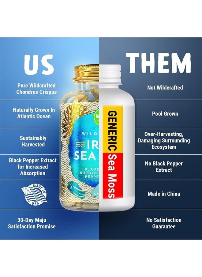 Maju Superfoods - MAJU 4-in-1 Organic Sea Moss Capsules, Wild Chondrus Crispus, Seamoss w/Bladderwrack + Burdock Root, Stronger Than Gel, Irish, Sebi Inspired Raw Powder in Pills, 500 mg Capsule (60 ct) - Image 1