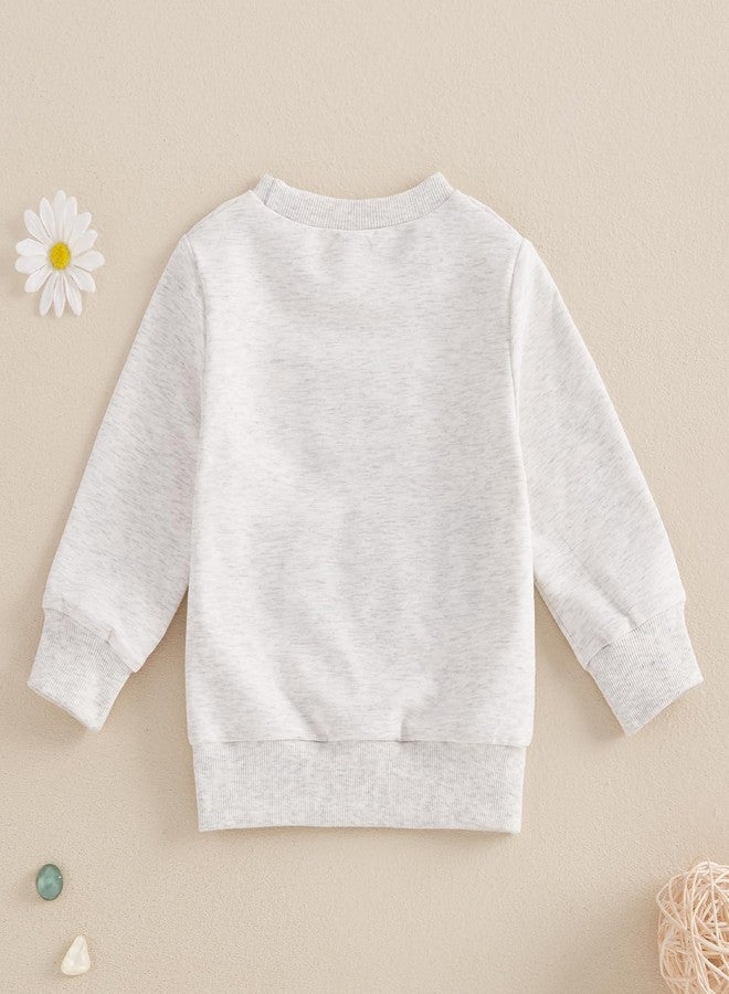 DNOMAID YZARC Sundays Are For The Birds Sweatshirt Toddler Boy Girl Long Sleeve Shirt Pullover Game Day Football Outfit (Gray go birds, 3-4 Years) - Image 4