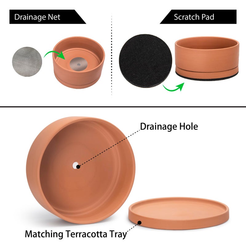 D'vine Dev 12 Inch Succulent Terracotta Shallow Pot with Drainage Hole and Saucer, Round Cylinder Planter Pot for Plant Flower, 40-Y-C-0 - Image 4