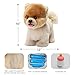CU-MATE CUMATE 12 Electric Plush Pomeranian Dog Toys Electronic Stuffed Animal Dog Toy Interactive Wuffy Robot Puppy Walking Talking Barking Wagging Tail Gifts for Boys and Girls - Image 4