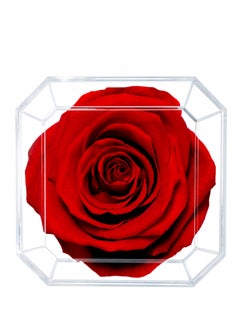 ETERNAL PETALS Eternal Petals,  A 100% Real Rose That Lasts Years - Gold Solo (Deep Red)  - Image 2
