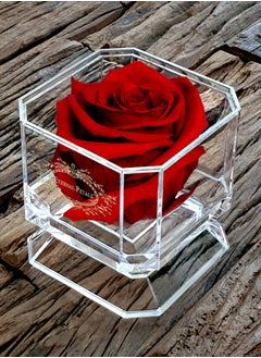 ETERNAL PETALS Eternal Petals,  A 100% Real Rose That Lasts Years - Gold Solo (Deep Red)  - Image 3