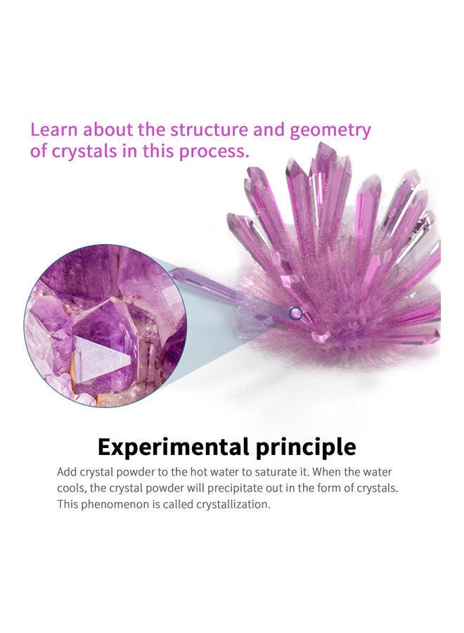 NIBEMINENT Crystal STEAM Growing Kit Purple - Image 4