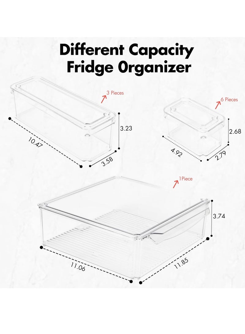 Raxoom 10-Pack Clear Fridge Organizers with Lids | BPA-Free Food Storage Containers for Fruits, Vegetables, Drinks | Refrigerator Storage Bins for Kitchen Organization - Image 3