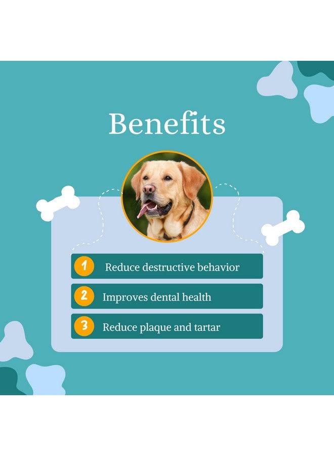 عصي الدجاج المنعشة للجراء والكلاب الضالة - 10 كجم | مكافأة مضغ العصي للكلاب | تحسن صحة الأسنان | تقلل من الجير والبلاك - Image 2
