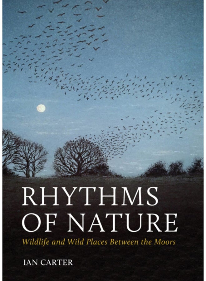 Rhythms of Nature : Wildlife and Wild Places Between the Moors 