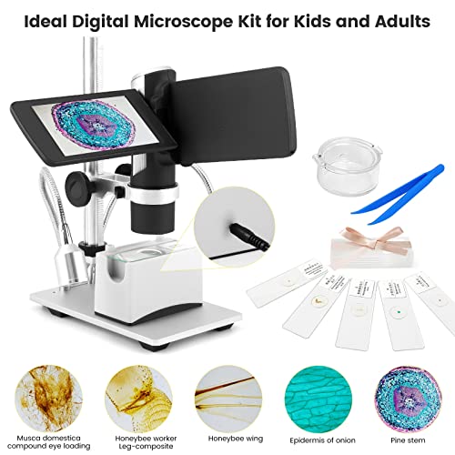 Andonstar AD203 Digital Coin Microscope for Error Coins with Metal Stand&Led Light, Handheld Portable USB Microscope Kit for Kids&Adults, 4" LCD Screen, Photo/Video Capture, Windows/Mac PC Compatible - Image 5
