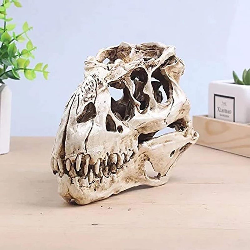 KODENG Tyrannosaur Skull T-Rex Skull Gifts Lifelike Resin Crafts Dinosaur Skull Fossil Teaching Skeleton Model Home Aquarium Decor (A) - Image 5
