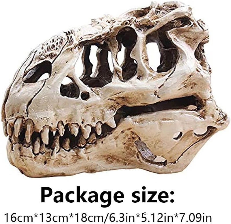 KODENG Tyrannosaur Skull T-Rex Skull Gifts Lifelike Resin Crafts Dinosaur Skull Fossil Teaching Skeleton Model Home Aquarium Decor (A) - Image 3