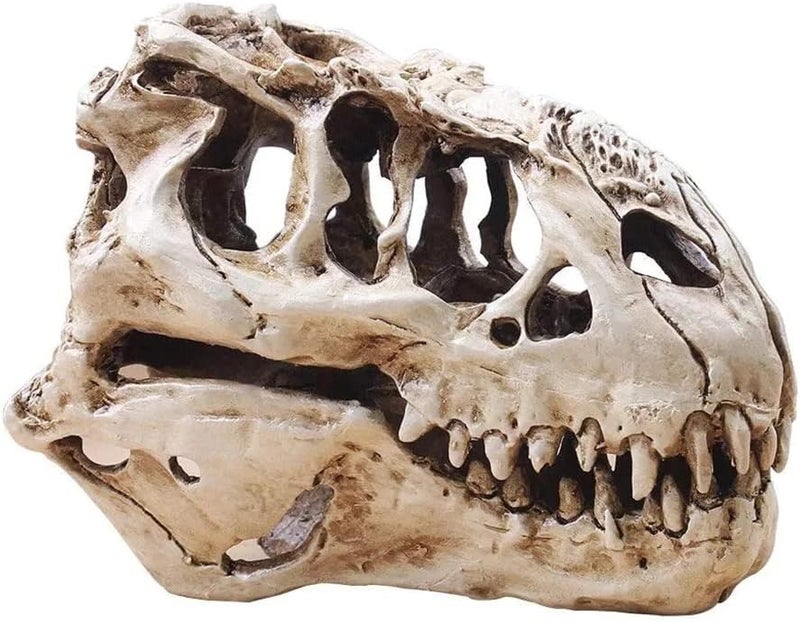 KODENG Tyrannosaur Skull T-Rex Skull Gifts Lifelike Resin Crafts Dinosaur Skull Fossil Teaching Skeleton Model Home Aquarium Decor (A) - Image 2