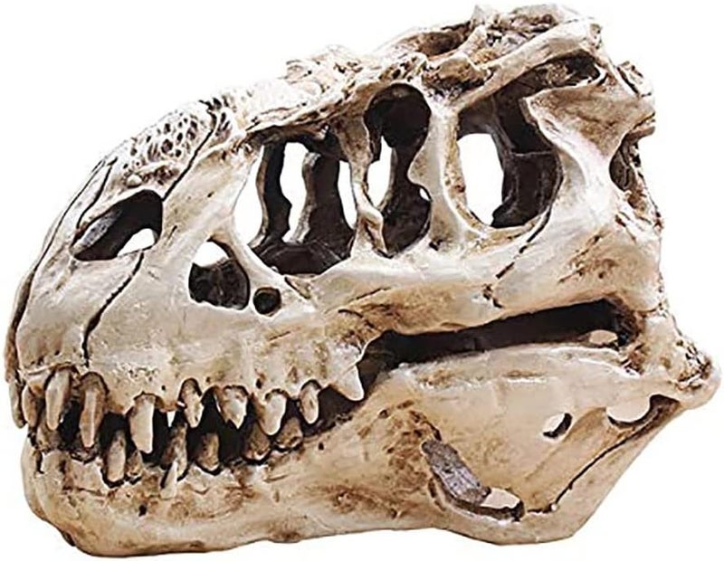 KODENG Tyrannosaur Skull T-Rex Skull Gifts Lifelike Resin Crafts Dinosaur Skull Fossil Teaching Skeleton Model Home Aquarium Decor (A) - Image 1