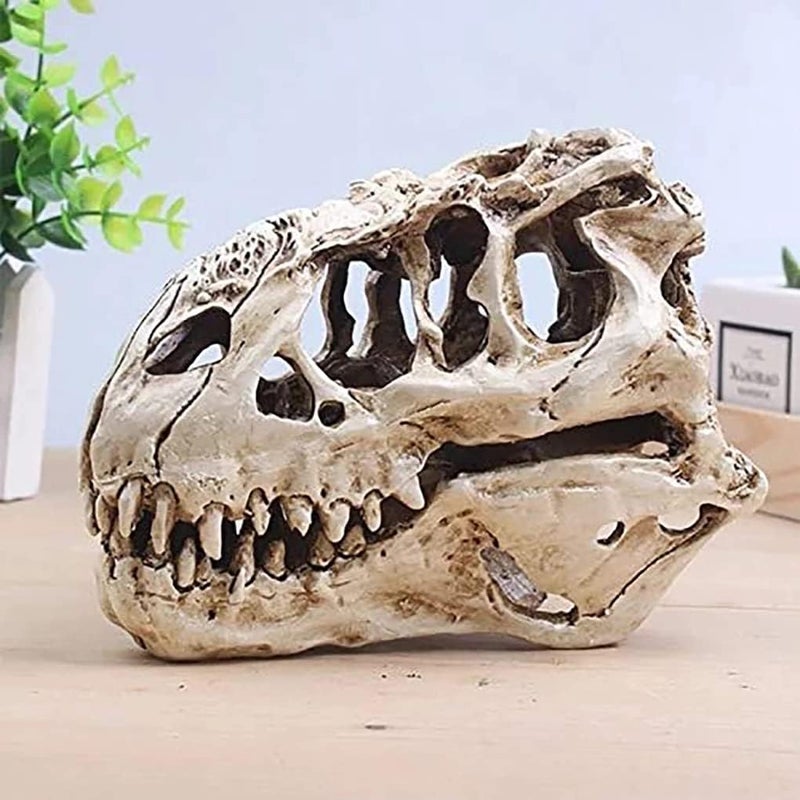 KODENG Tyrannosaur Skull T-Rex Skull Gifts Lifelike Resin Crafts Dinosaur Skull Fossil Teaching Skeleton Model Home Aquarium Decor (A) - Image 4