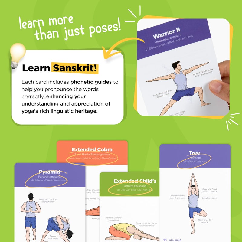 WorkoutLabs Yoga Cards – Beginner: Visual Study, Class Sequencing & Practice Guide with Essential Poses, Breathing Exercises & Meditation · Plastic Flash Cards Deck with Sanskrit - Image 5