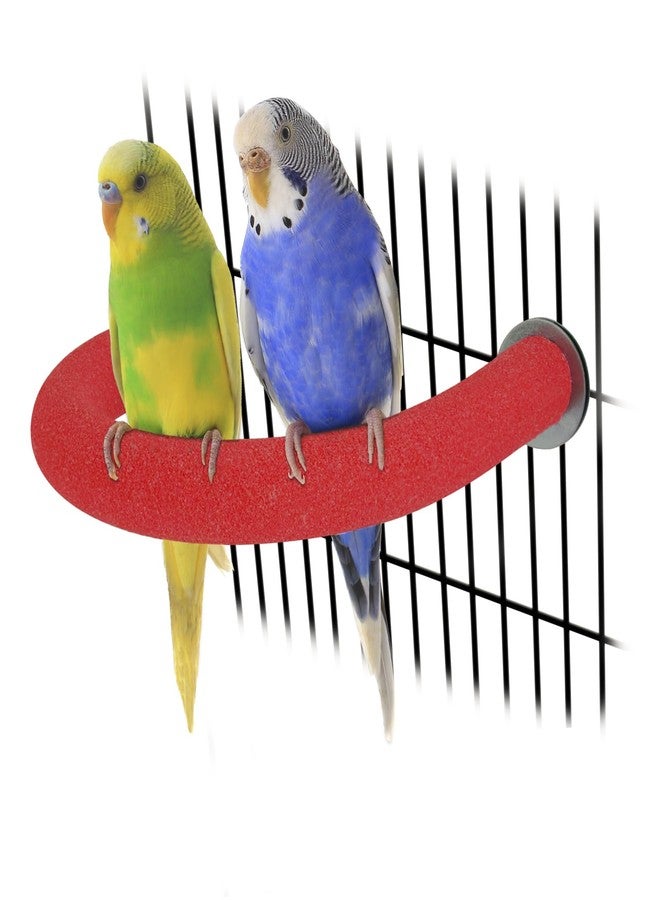 Rypet U Shape Parrot Perch Stand Toy for Paw Grinding Clean Stick Exercise, Rough-Surfaced Quartz Bird Perch Standing Cage Accessories for for Small Parakeets Cockatiels Conures Macaws Finches(Red) - Image 1