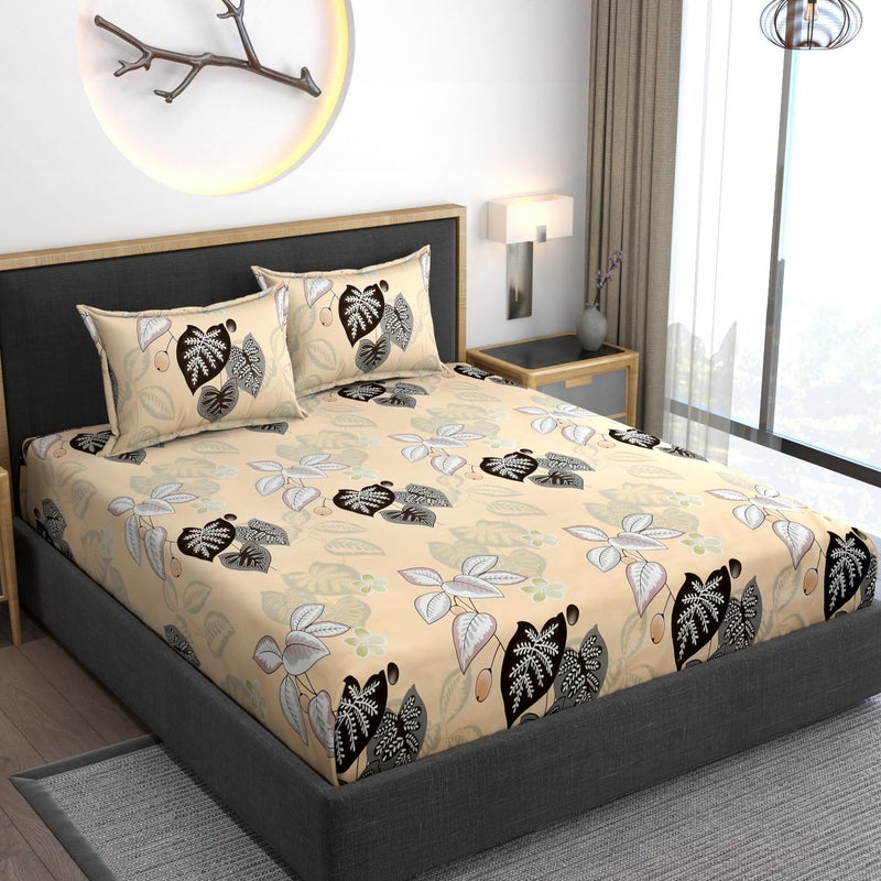 AMEYAA XXL Microfiber Soft Cotton Super King Size Bedsheet for Double Bed King Size 108 Inches X 108 Inches 9 Feet 275 X 275 cm with 2 Large Size Pillow Covers Without Joint Multicolor - Image 2