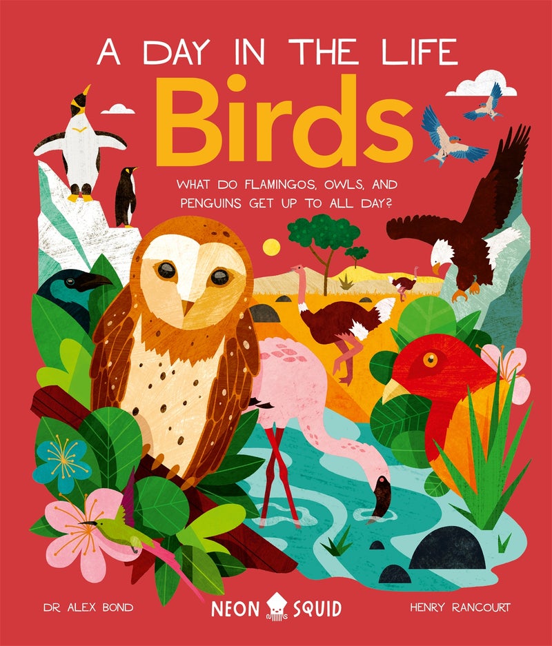 Birds (A Day in the Life) 