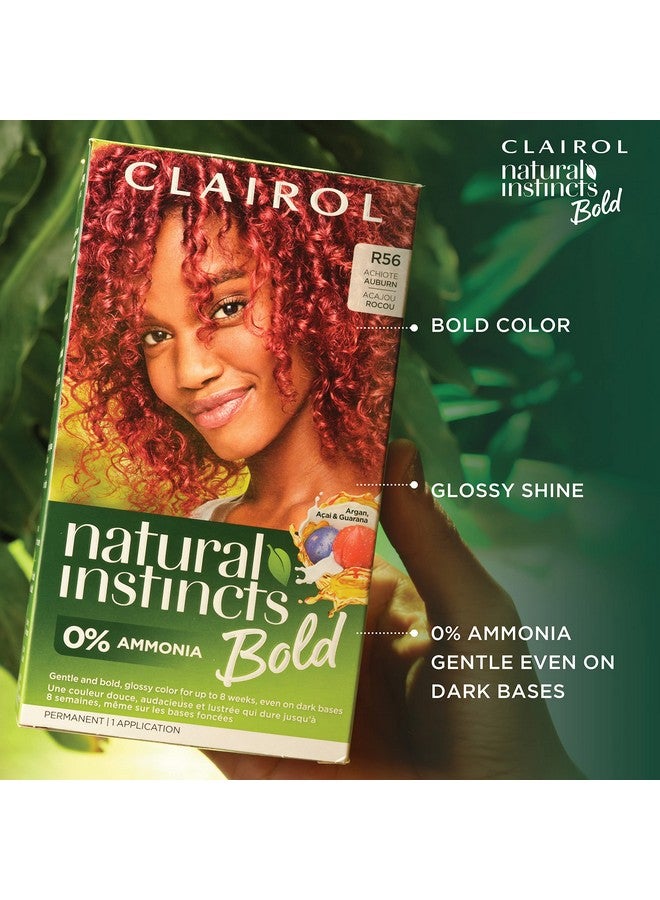 Clairol Natural Instincts Bold Permanent Hair Dye, BL28 Blue Black Colibri Hair Color, Pack of 1 - Image 5