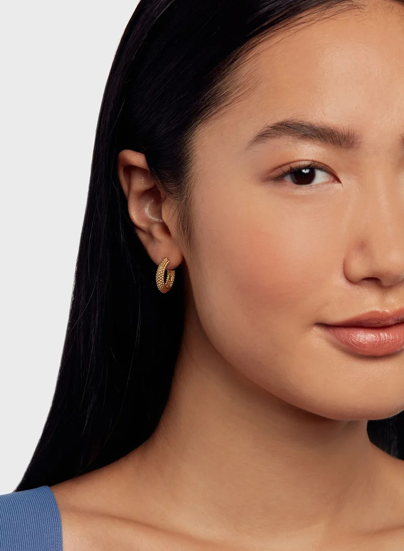 Ted Baker Dotetta Dotty Hoop Earrings