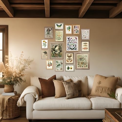 LANCHI95 6 Pcs Vintage Botanical Wall Art Set – Unframed Aesthetic Cottagecore Decor, Antique Frog, Mushroom, Butterfly & Floral Nature Prints - Gallery Wall Kit (3x 8x10, 6x 5x7, 7x 4x6) (UNFRAMED) - Image 3