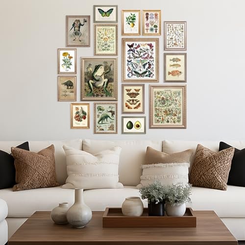 LANCHI95 6 Pcs Vintage Botanical Wall Art Set – Unframed Aesthetic Cottagecore Decor, Antique Frog, Mushroom, Butterfly & Floral Nature Prints - Gallery Wall Kit (3x 8x10, 6x 5x7, 7x 4x6) (UNFRAMED) - Image 4